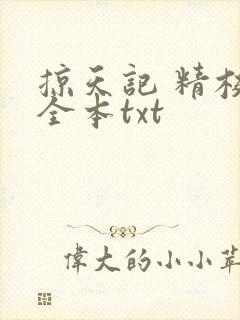 掠天记 精校版全本txt