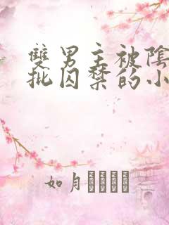 双男主被阴郁疯批囚禁的小说