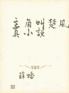 主角叫楚风的修真小说