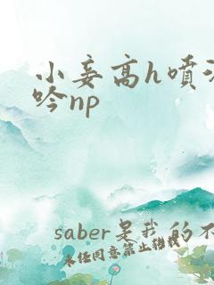 小妾高h喷汁呻吟np