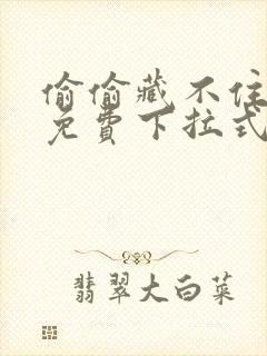 偷偷藏不住漫画免费下拉式观看