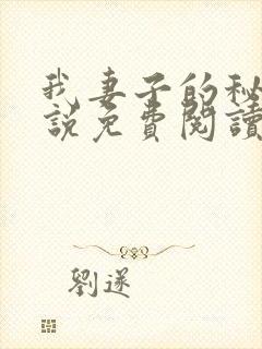 我妻子的秘密小说免费阅读