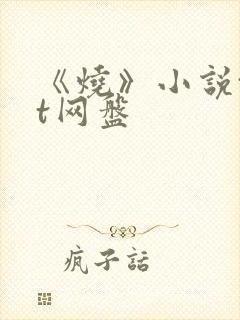 《烧》小说txt网盘