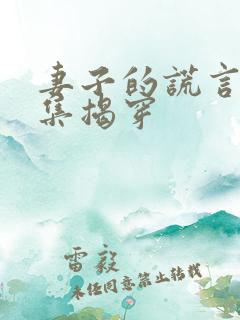 妻子的谎言多少集揭穿