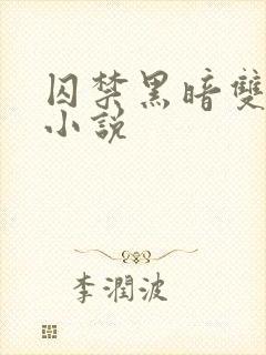 囚禁黑暗双男主小说