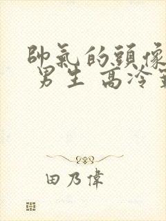 帅气的头像动漫 男生 高冷霸气
