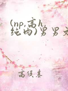 (np,高h,纯肉)男男文