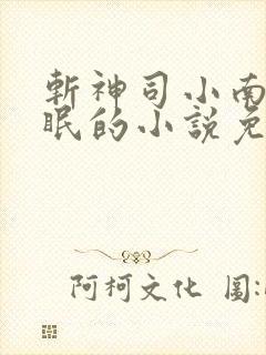 斩神司小南被催眠的小说免费阅读