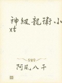 神级龙卫小说txt