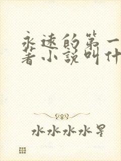 永远的第一名原著小说叫什么