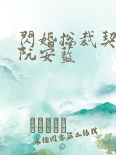 闪婚总裁契约妻阮安蓝