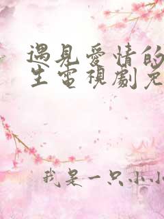 遇见爱情的利先生电视剧免费观看