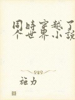 同时穿越了99个世界小说txt