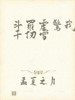 斗罗震惊我成了千仞雪