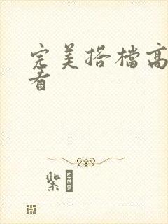 完美搭档高清观看