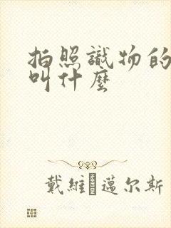 拍照识物的软件叫什么