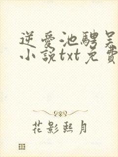 逆爱池骋吴所畏小说txt免费下载