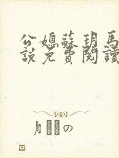 公媳苏玥马强小说免费阅读