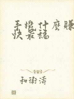 手机什么赚钱最快最稳