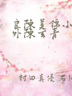 良陈美锦小说番外陈玄青