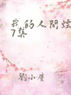 我的人间烟火27集