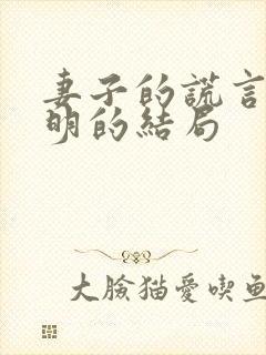 妻子的谎言江一明的结局