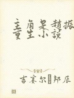 主角是赵振国的重生小说