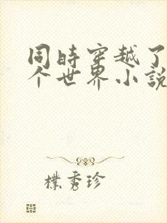 同时穿越了99个世界小说下载