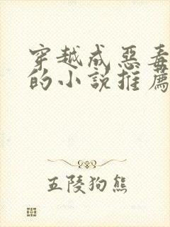 穿越成恶毒女配的小说推荐