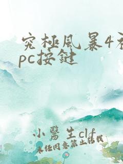 究极风暴4初始pc按键