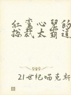 红鸾心儿的闪婚总裁太霸道