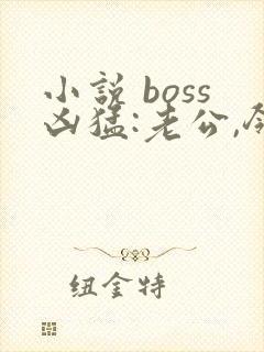 小说 boss凶猛:老公,领证吧