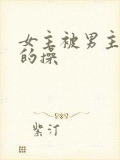 女主被男主狠狠的操
