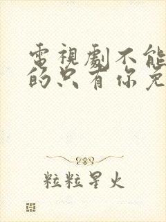 电视剧不能错过的只有你免费观看