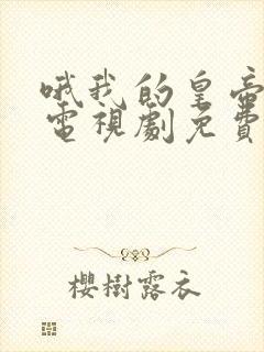 哦我的皇帝陛下电视剧免费观看全集第一季