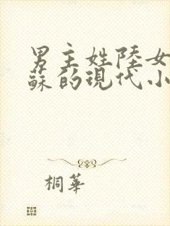 男主姓陆女主姓苏的现代小说