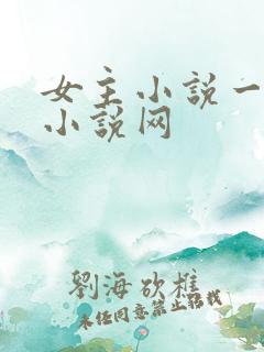女主小说一女主小说网