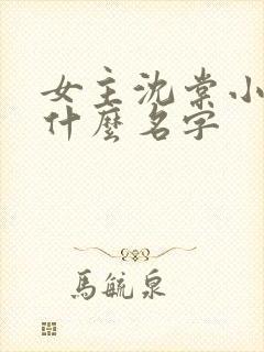 女主沈棠小说叫什么名字