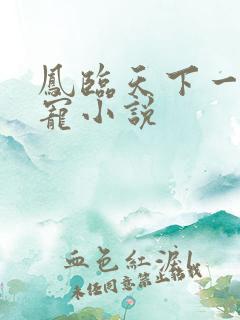 凤临天下一后千宠小说