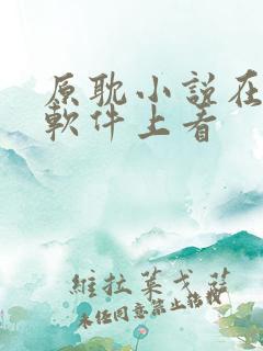 原耽小说在什么软件上看