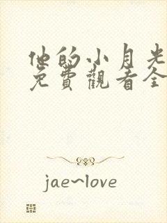 他的小月光短剧免费观看全集