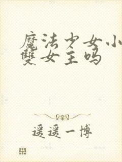 魔法少女小圆是双女主吗