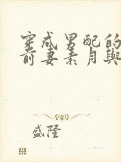 穿成男配的炮灰前妻素月与共