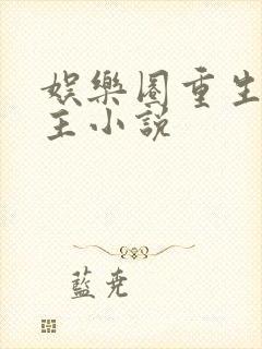 娱乐圈重生双男主小说