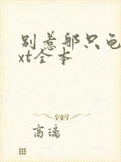 别惹那只龟 txt全本