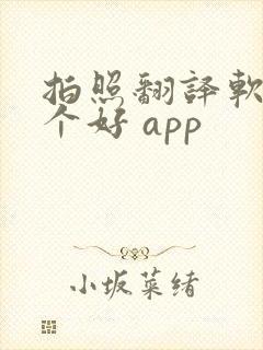 拍照翻译软件哪个好 app