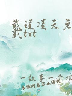 武道凌天免费下载txt