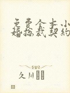 免费全本小说闪婚总裁契约妻