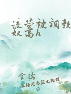 流萤被调教成肉奴高h