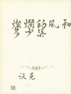 灿烂的风和海共多少集